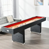 Professional Shuffleboard Table